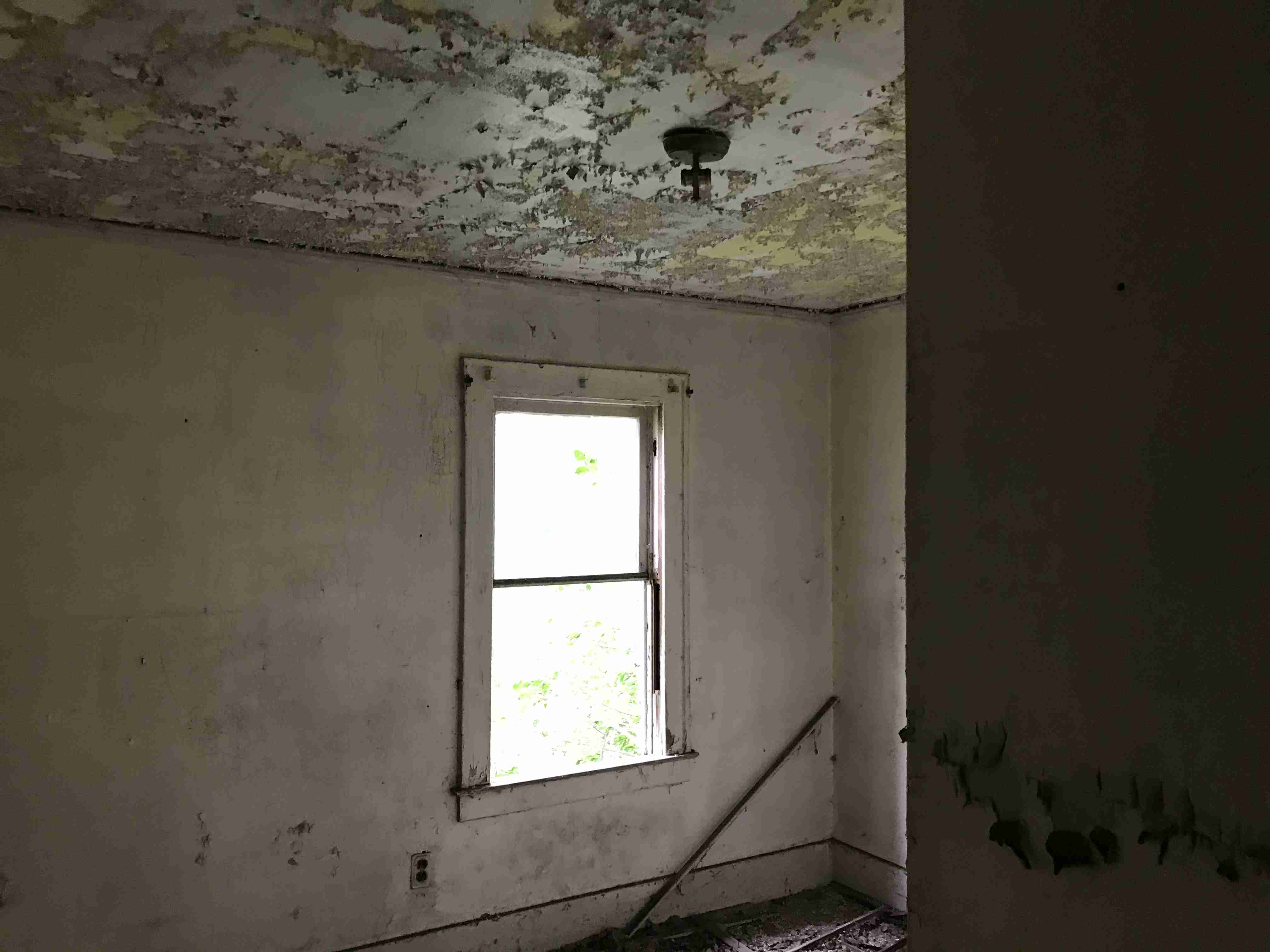 Photo Sep 10, 2 51 04 PM.jpg